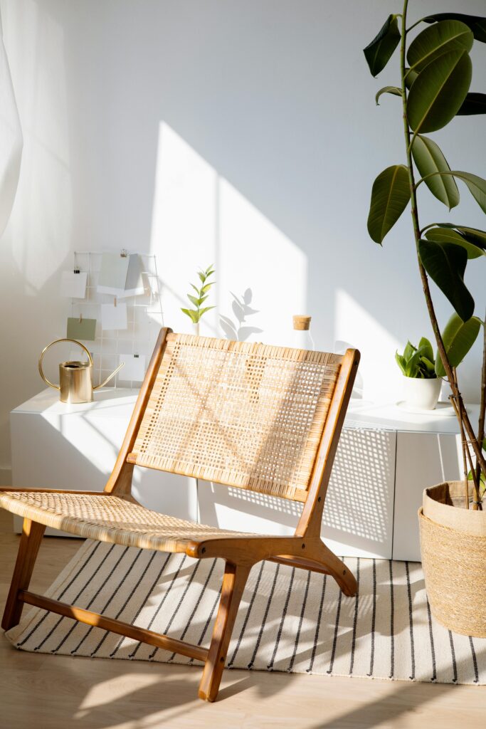 Sunny room with rattan chair and indoor plants, perfect for modern decor lovers.
