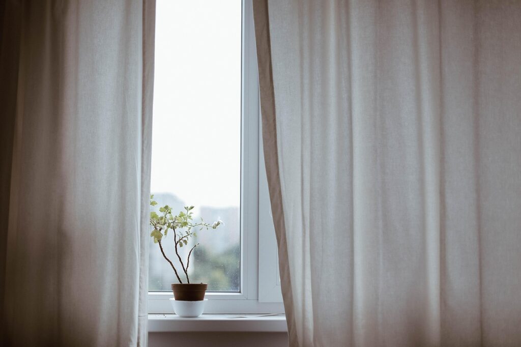 curtains, decoration, indoors, plant, potted plant, nature, window, minimalist, minimalistic, interior decoration, indoor plant